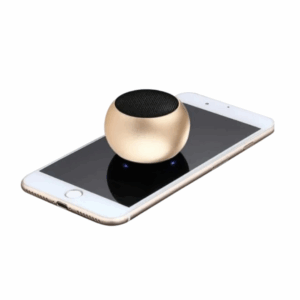 Mini Portable Speaker
